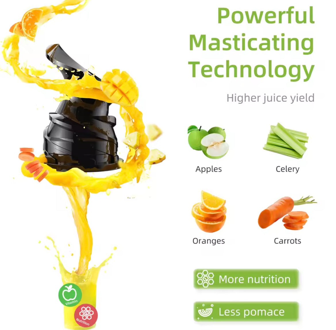Cold Press Juicer