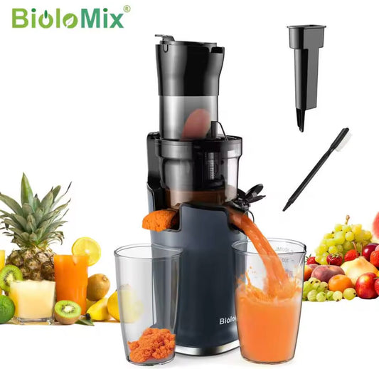 Cold Press Juicer